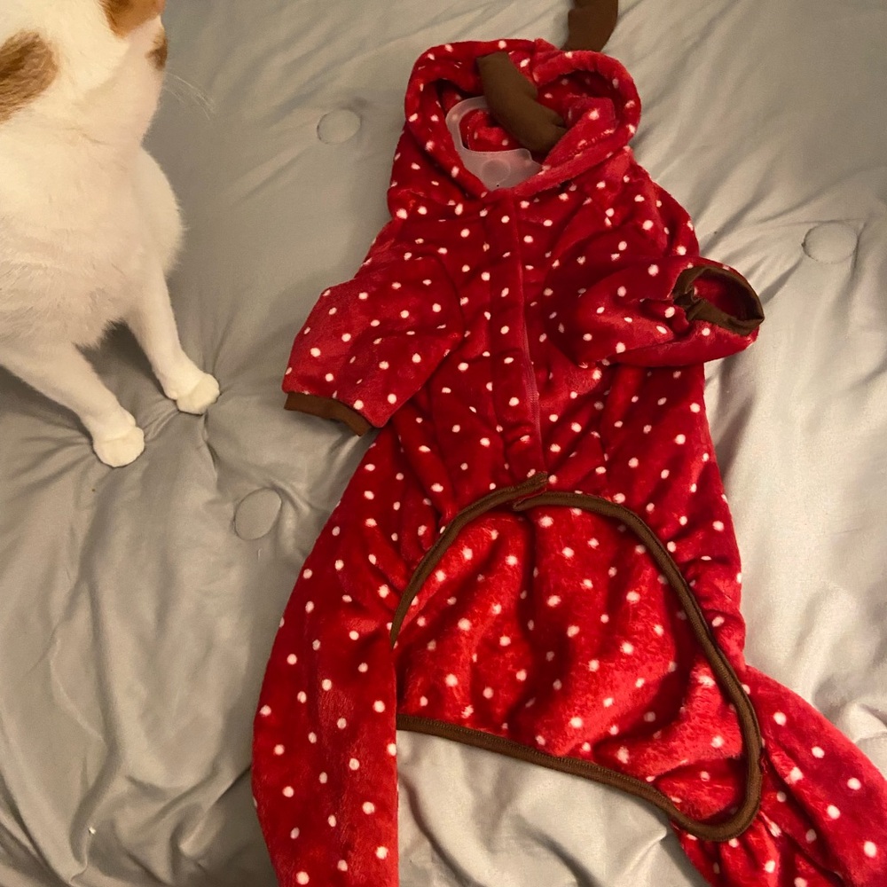 Source Unknown Red Polka Dot Dog Onesie